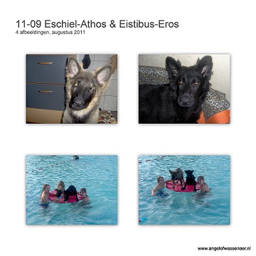 Eschiël-Athos & Eistibus-Eros zwemmen in een echt zwembad!